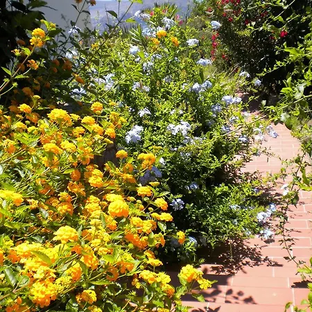 Casa U' Cucunciu Apartament Lipari (Isola Lipari)